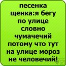 Діана Бережна фотография #11 (источник - https://vk.com/id95440726)