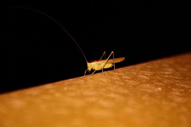 Иван Горелкин фотография #2