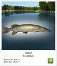 Славік Зайцев фотография #13 (источник - https://vk.com/id97164544)