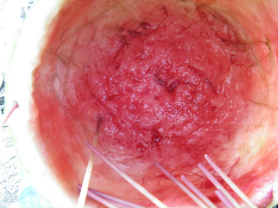 Cucumber Jam фотография #26