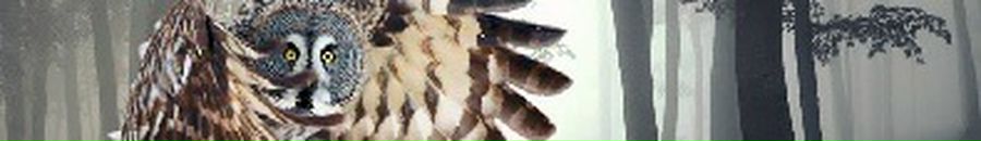 Сергій Снісар фотография #46 (источник - https://vk.com/id135087143)