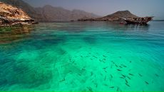 Фотография Третякевича Владимира