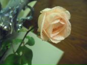 Фотография Ураковой Анны