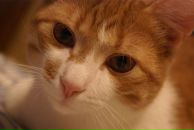 Фотография Филюшина Ивана