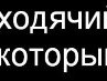 Поліна Оріпова фотография #3 (источник - https://vk.com/id147755471)