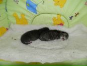 Фотография Коротковой Натальи