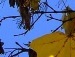 Майя Добранівська фотография #35 (источник - https://vk.com/id135558749)