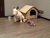 Андрей Утробин фотография #26 (источник - https://vk.com/id327663)