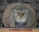 Фотография Объедкова Кости