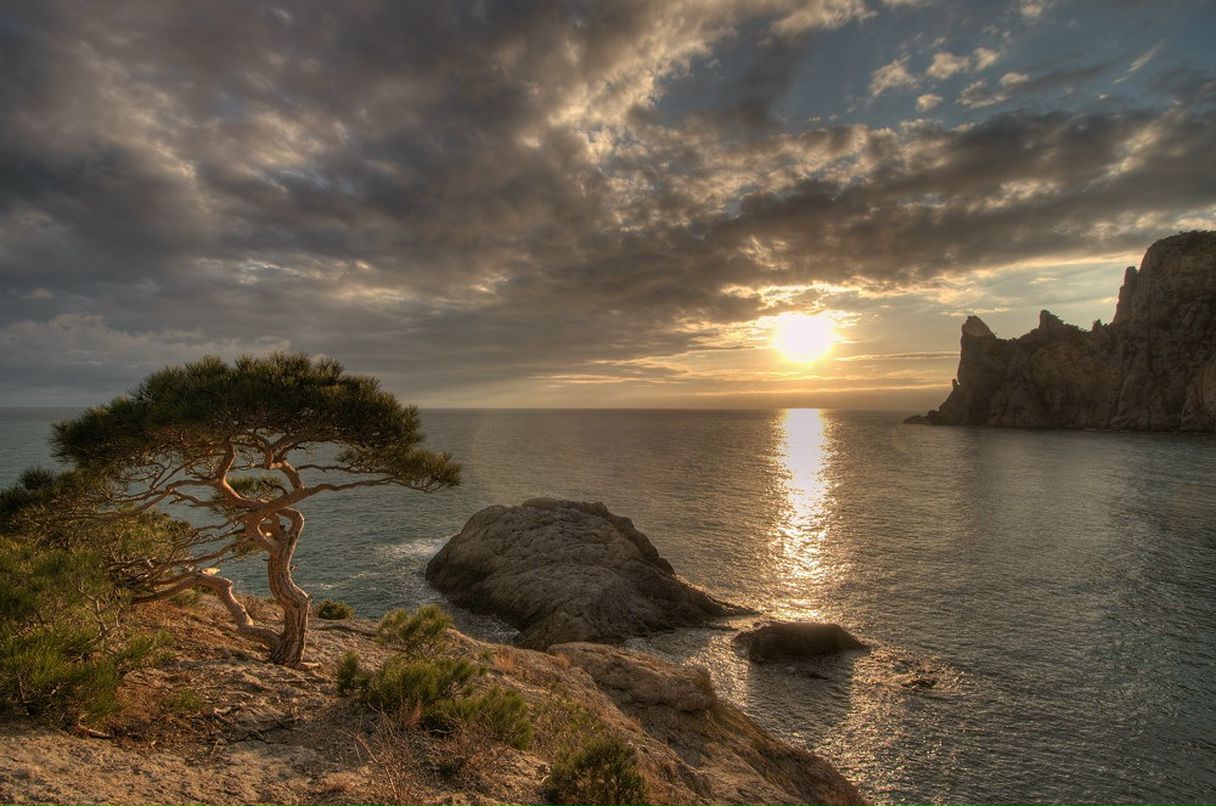 Дмитрий Модестов фотография #31