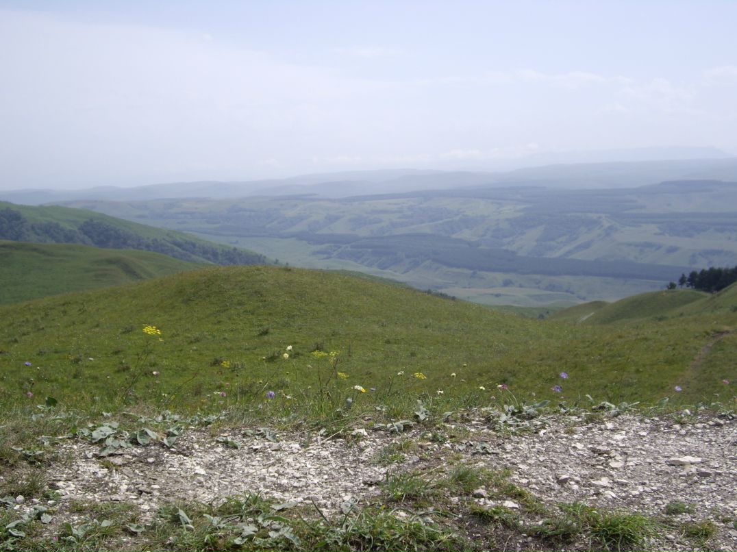 Дмитрий Модестов фотография #41