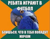 Катько Бирюкова фотография #34 (источник - https://vk.com/id26086263)