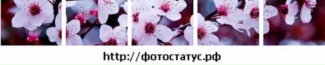 Цветана Євпак фотография #5 (источник - https://vk.com/id54740342)