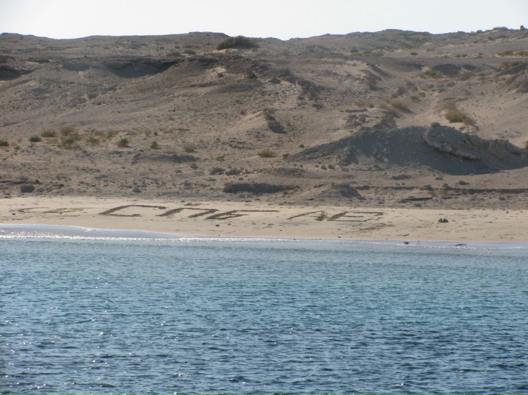 Дмитрий Параненков фотография #41