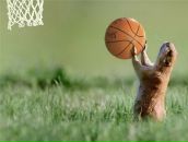 Фотография Жулина Владимира