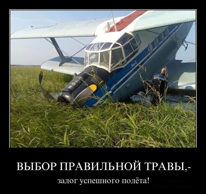 Сергей Волков фотография #34