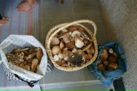 Володя Піпаш фотография #18 (источник - https://vk.com/id64047541)