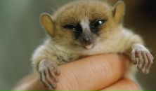 Фотография Бланк Марины