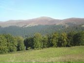 Міша Motsa фотография #13 (источник - https://vk.com/id52852421)