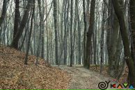 Іван Андрійчак фотография #50 (источник - https://vk.com/id132045600)