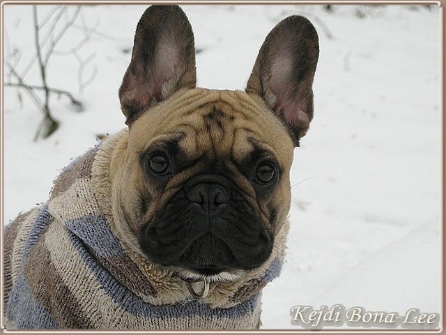 Elena Nikis фотография #30