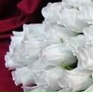 Галя Зінчук фотография #24 (источник - https://vk.com/id66067971)