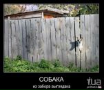 Андрій Філевський фотография #19 (источник - https://vk.com/id8253747)
