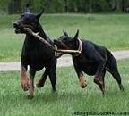 Вікторія Андрусяк фотография #20 (источник - https://vk.com/id124300028)