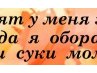 Сергій Степанюк фотография #37 (источник - https://vk.com/id155320925)