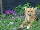 Карлі Сміт фотография #1