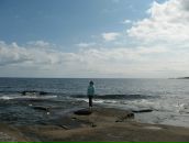 Фотография Барботкиной Ольги