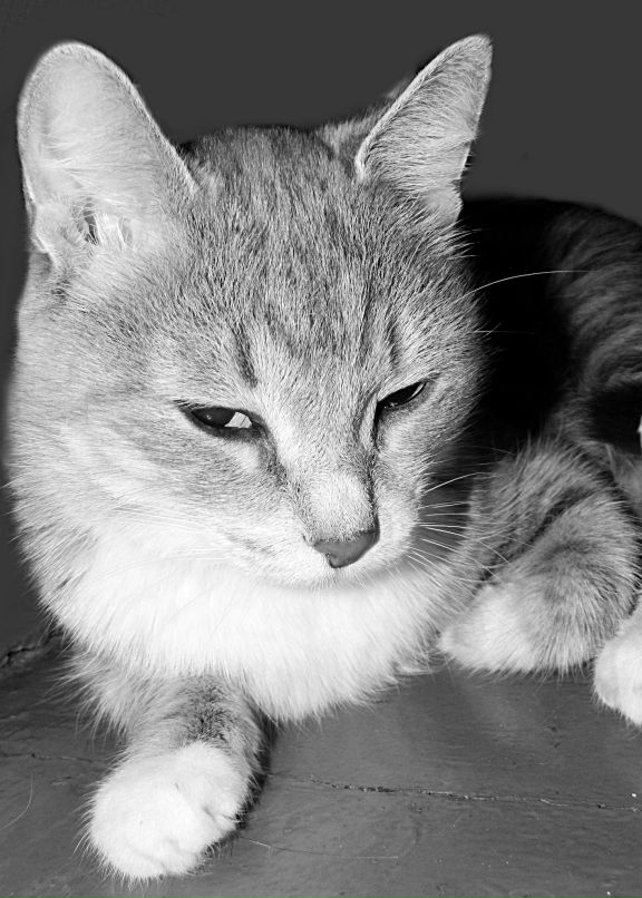 Ирина Коломникова фотография #41