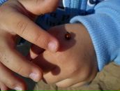 Фотография Розовой Ани