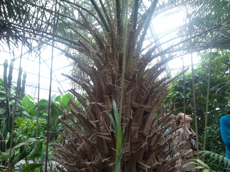 Роберт Бойко фотография #27