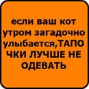 Толя Борківський фотография #38 (источник - https://vk.com/id143036159)