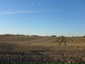 Елена Ли фотография #9 (источник - https://vk.com/id355235)