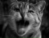 Фотография Баклыковой Екатерины