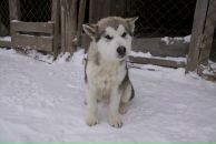 Фотография Суховой Люси