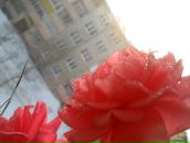 Фотография Ураковой Анны