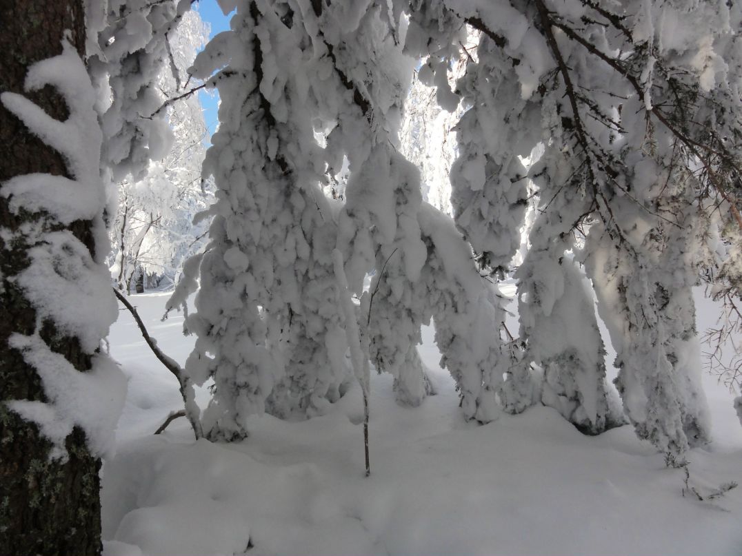 Дмитрий Трушков фотография #16