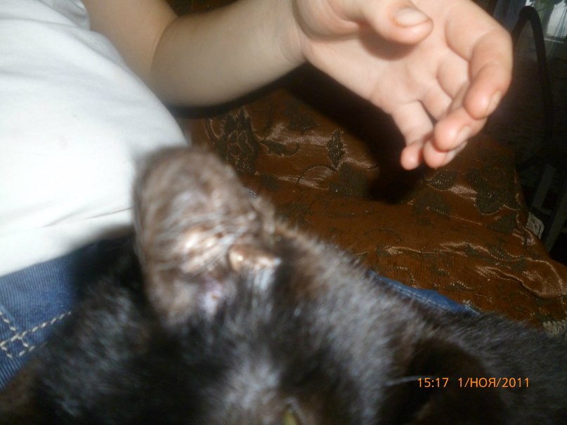 Илья Мальков фотография #27