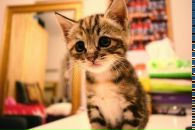 Вільям Носов фотография #37 (источник - https://vk.com/id69005430)