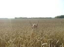 Фотография Изловской Светланы