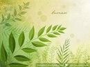 Наталія Колинець фотография #29 (источник - https://vk.com/id159110884)