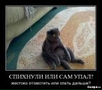 Андрей Ильющенков фотография #41 (источник - https://vk.com/id3568477)