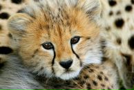 Фотография Ясников Денис