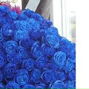 Єва Кір'ян фотография #18 (источник - https://vk.com/id149234216)