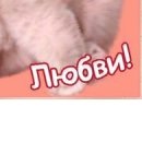 Лєна Круть фотография #23 (источник - https://vk.com/id147702330)