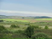 Лариса Йолкіна фотография #8 (источник - https://vk.com/id10384967)