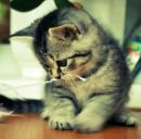 Іннуся Варварич фотография #28 (источник - https://vk.com/id160732866)